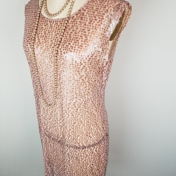 Vintage Rose Pink Sheer Shimmer Sheath Dress * Ladies Size Small - Picture 3 of 6